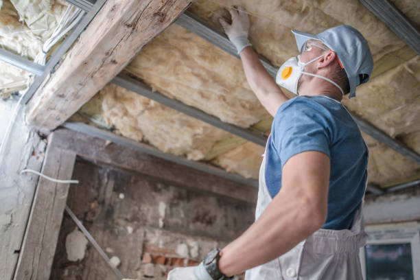 Best Commercial Insulation in Comer, GA