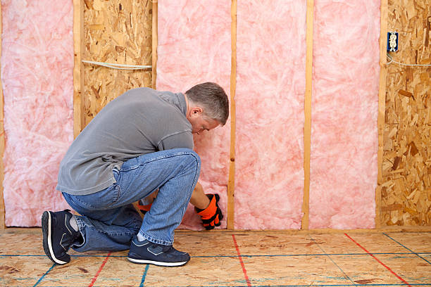 Best Insulation Maintenance and Repair in Comer, GA